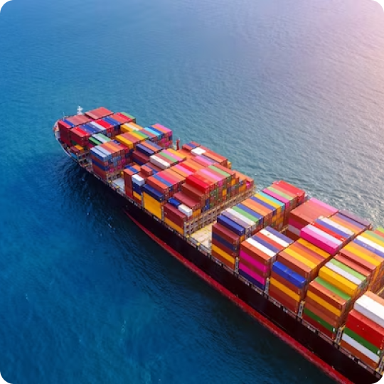 EXIM & Logistics